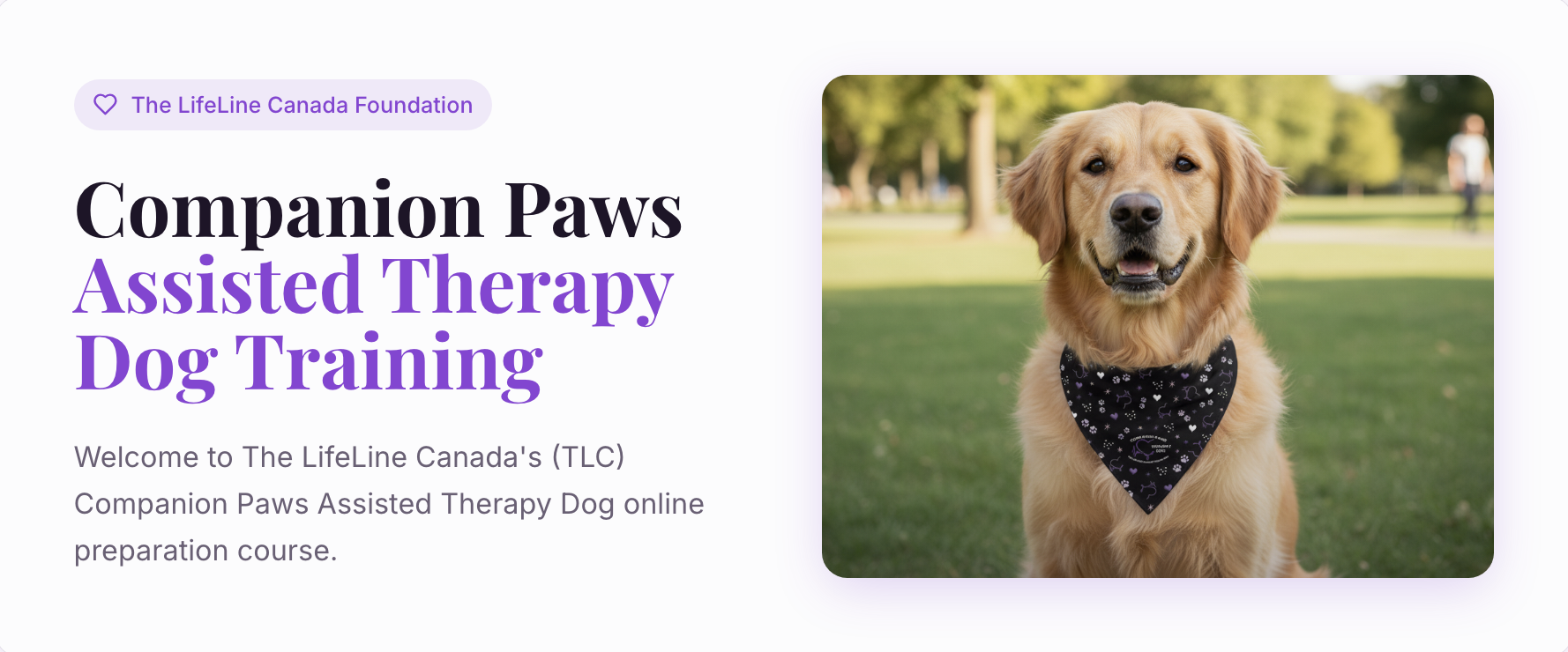 Assisted Therapy Dog Training