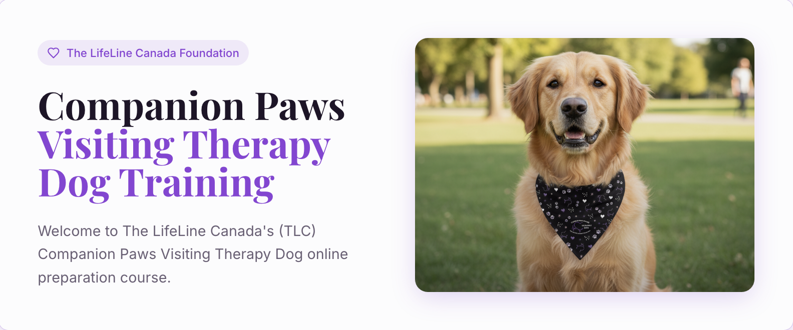 Visiting Therapy Dog Training
