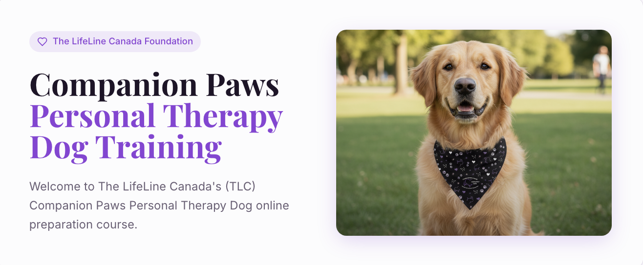 Personal Therapy Dog Training