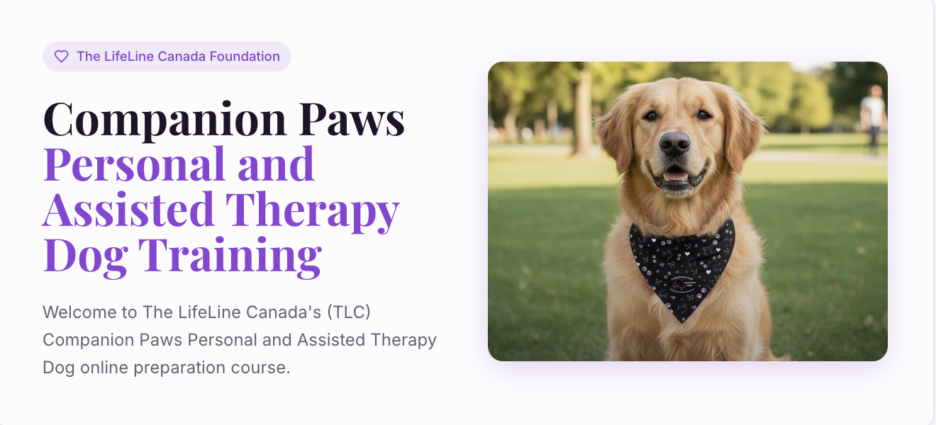 Personal and Assisted Therapy Dog Training