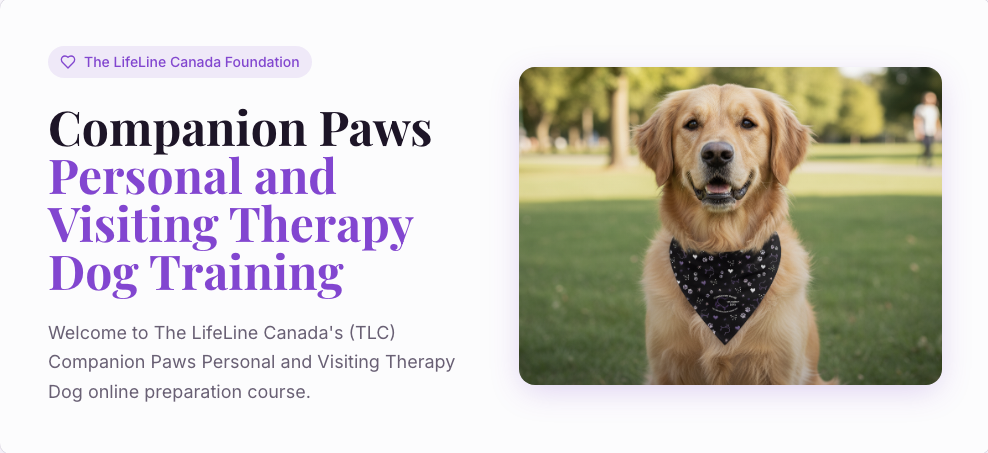 Personal and Visiting Therapy Dog Training