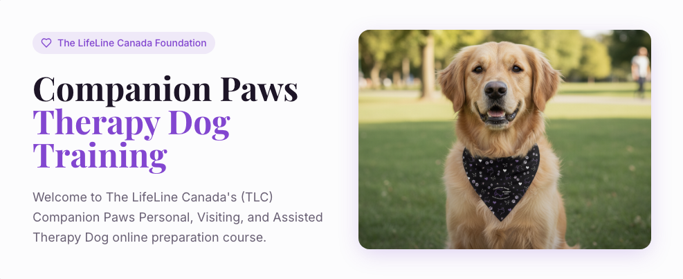 Personal, Visiting, and Assisted Therapy Dog Training